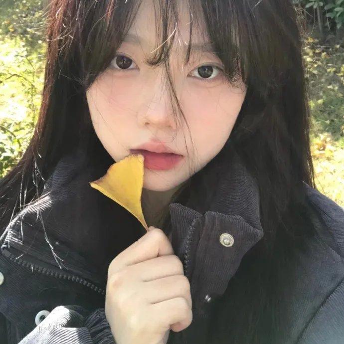 花篮花儿香