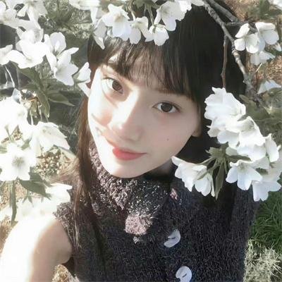 契诃夫之海鸥